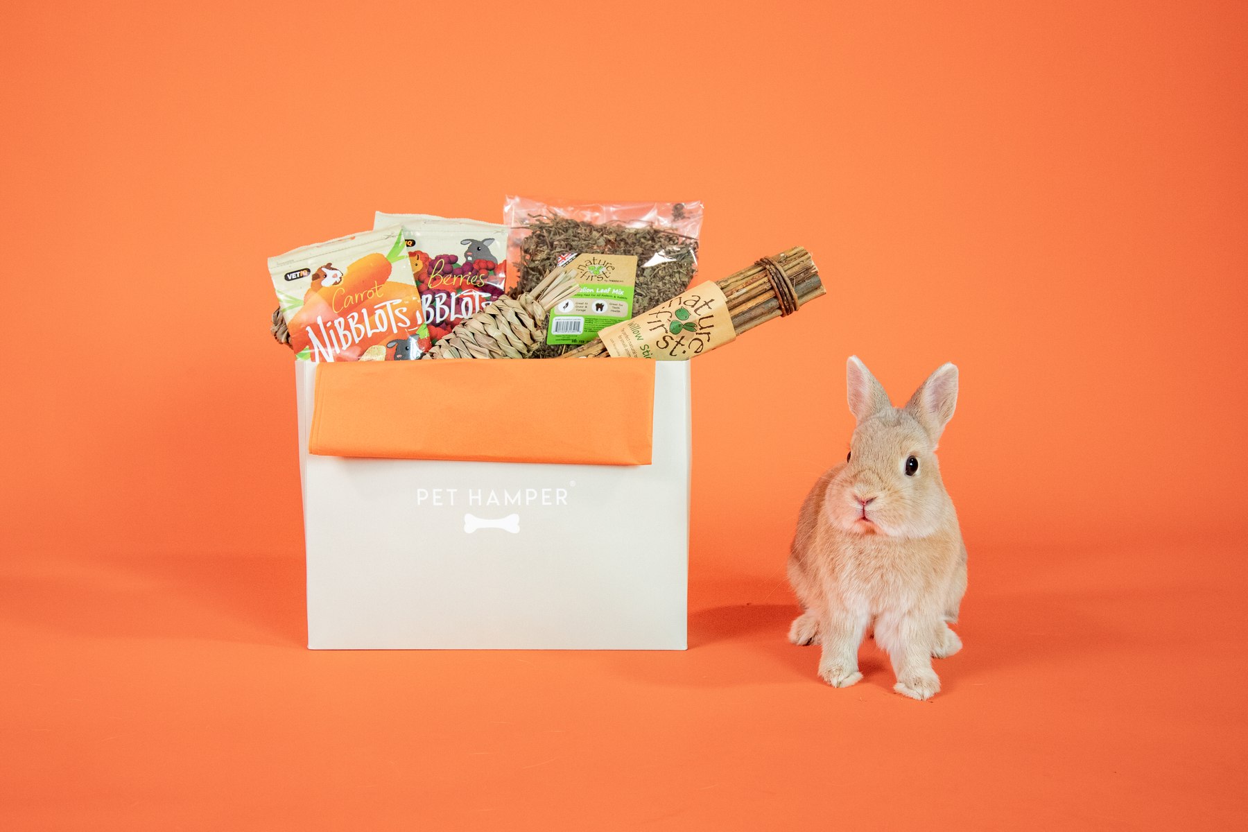 Everypaw Pet Insurance campaign image